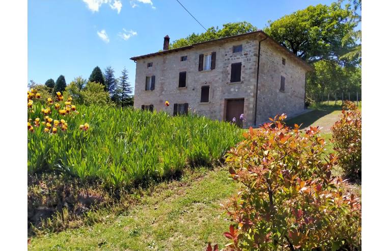 immagine annuncio 5 di 7