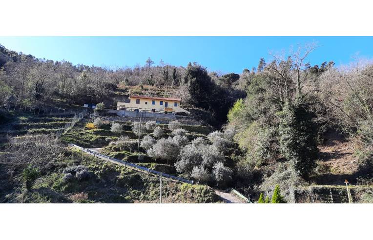 Casa indipendente in vendita a Savona