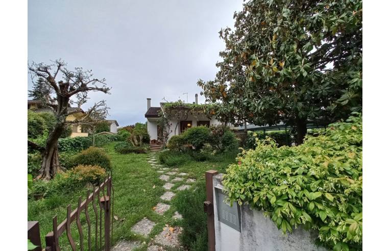 immagine annuncio 6 di 7