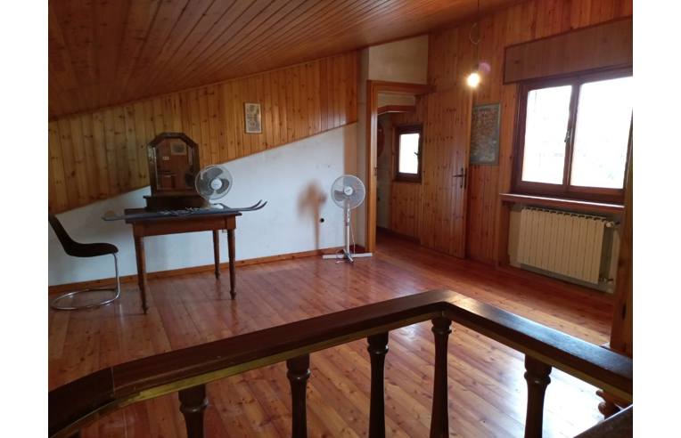 immagine annuncio 2 di 7