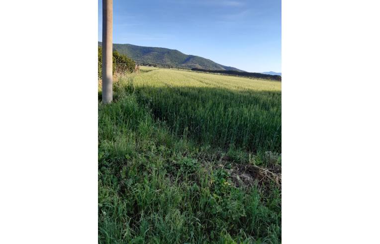 Terreno Agricolo/Coltura in vendita a Orbetello, Frazione Albinia