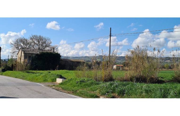 immagine annuncio 3 di 4