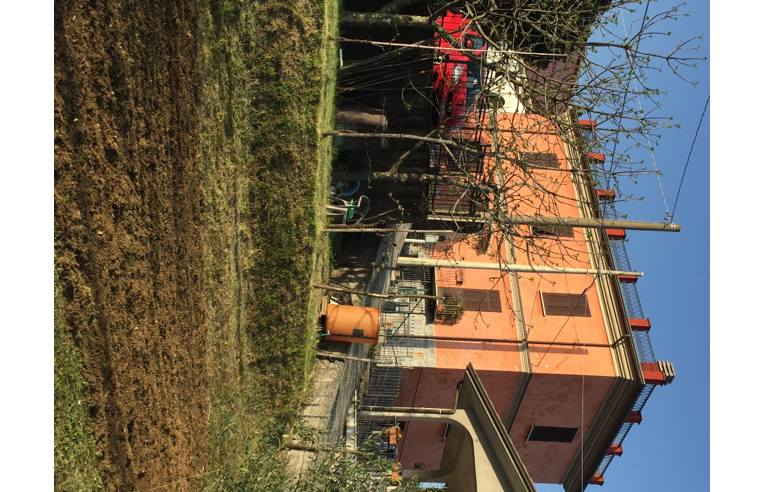 immagine annuncio 3 di 4