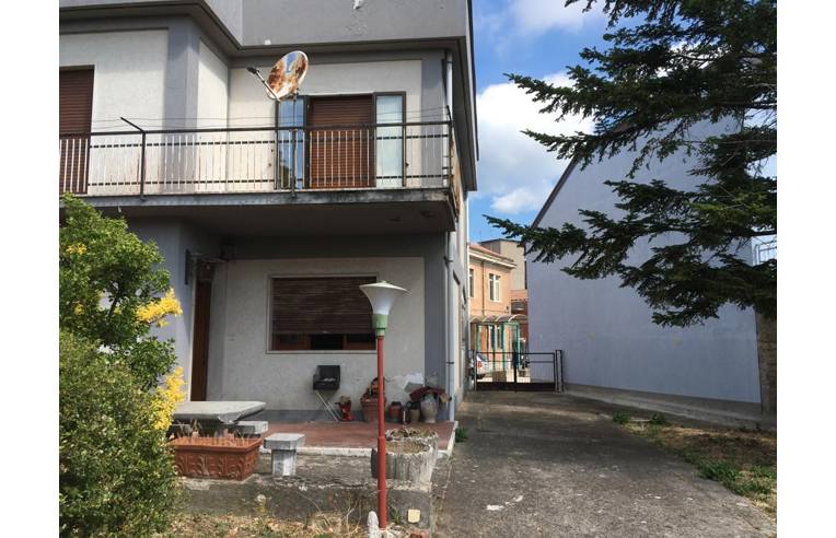 immagine annuncio 3 di 7