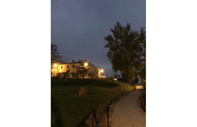immagine annuncio 1 di 7