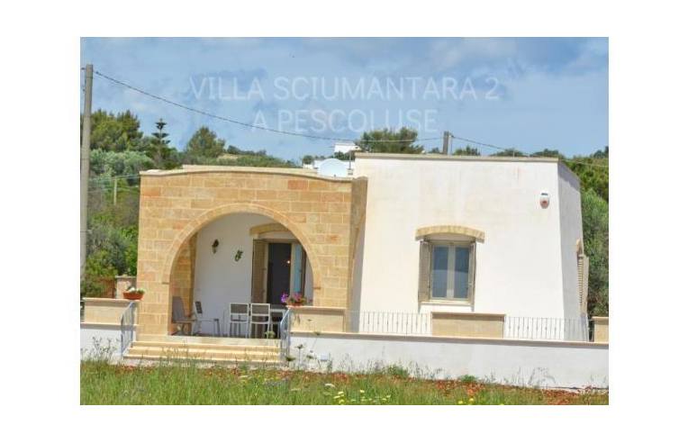 Affitto Villa Vacanze a Salve, Frazione Marina Di Pescoluse