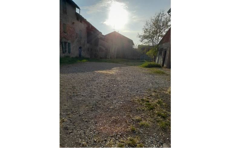 immagine annuncio 5 di 7
