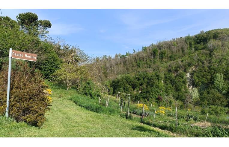 immagine annuncio 1 di 6