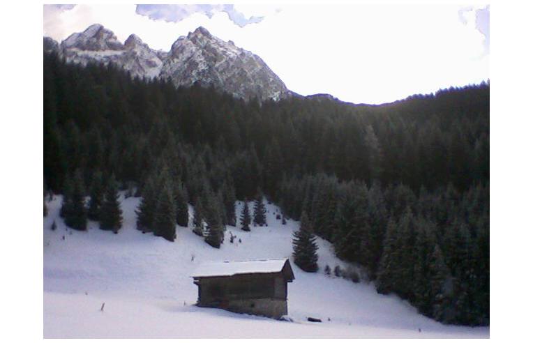 immagine annuncio 4 di 7