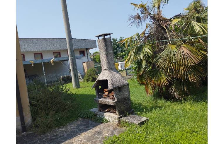 immagine annuncio 5 di 7
