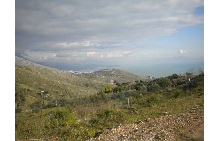 immagine annuncio 4 di 6