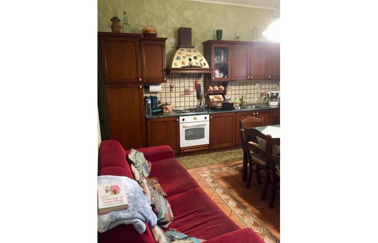 immagine annuncio 5 di 7