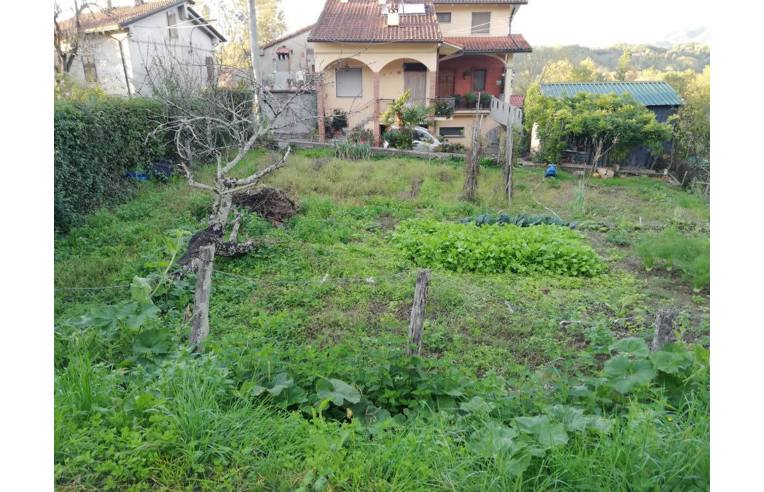 immagine annuncio 3 di 7
