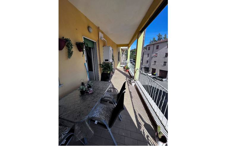 immagine annuncio 5 di 7