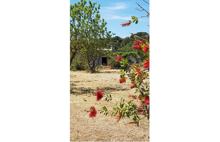 Foto 5 - Rustico/Casale in Vendita da Privato - Martina Franca (Taranto)