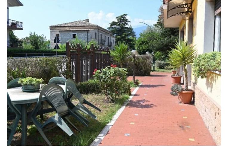 immagine annuncio 3 di 7