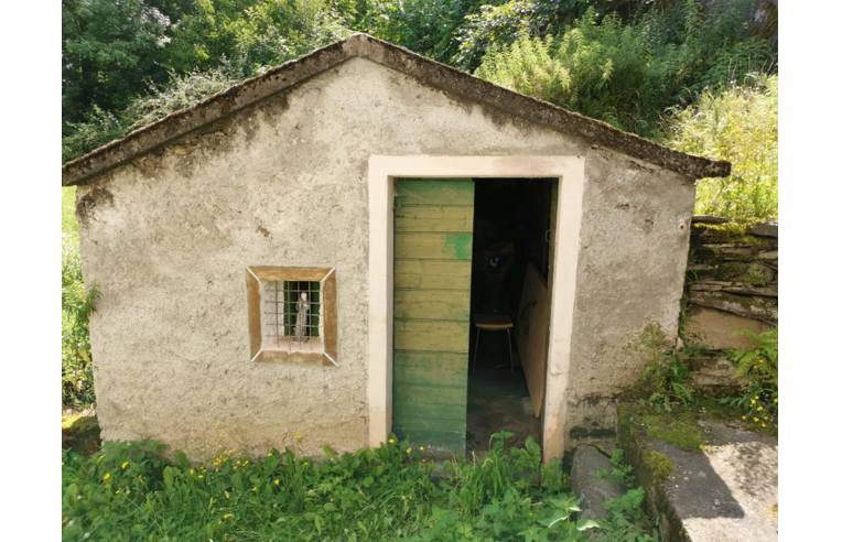 immagine annuncio 3 di 7