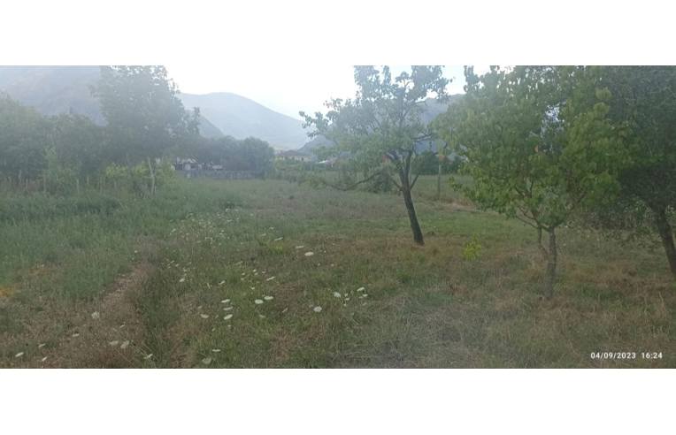immagine annuncio 2 di 7