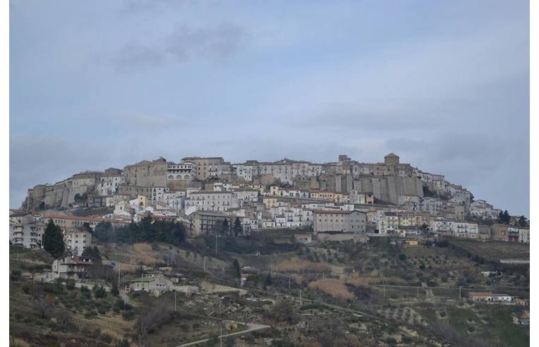 immagine annuncio 5 di 7