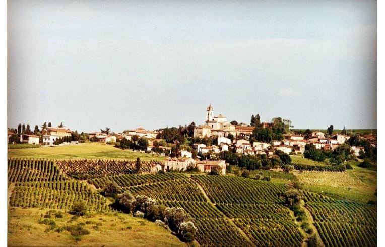 immagine annuncio 6 di 7