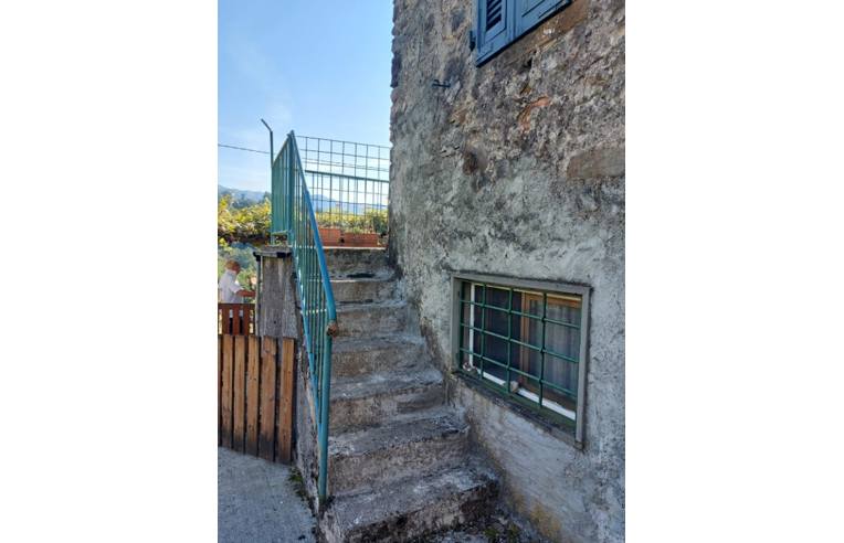 immagine annuncio 3 di 7