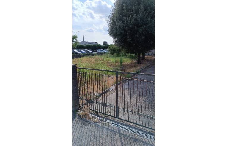 immagine annuncio 4 di 7