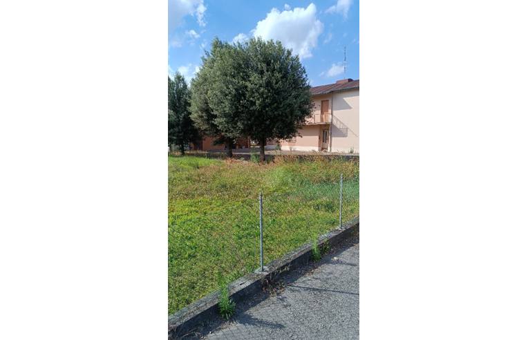immagine annuncio 3 di 7