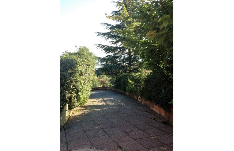 immagine annuncio 6 di 7