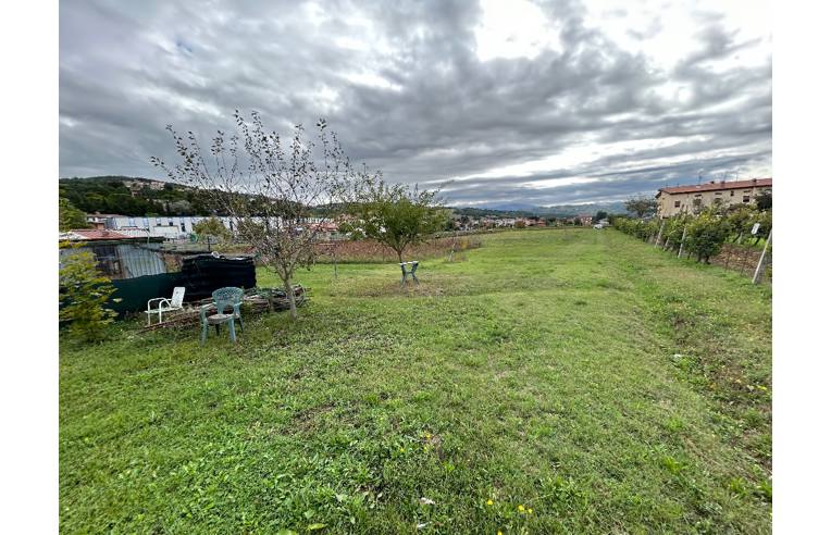 immagine annuncio 4 di 7