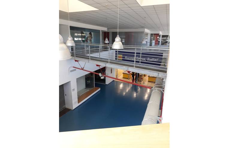 immagine annuncio 2 di 6