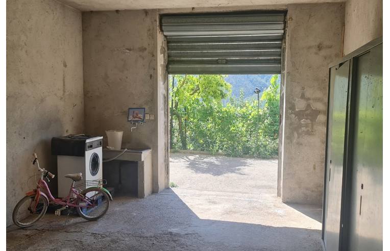 immagine annuncio 5 di 7