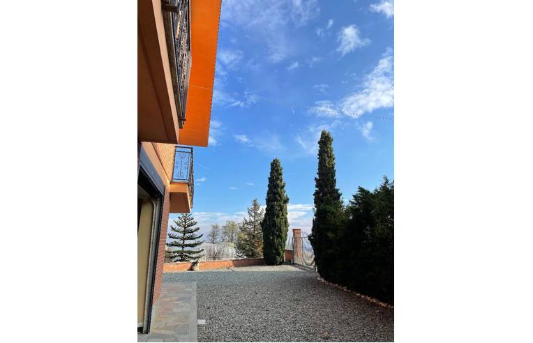 immagine annuncio 3 di 7