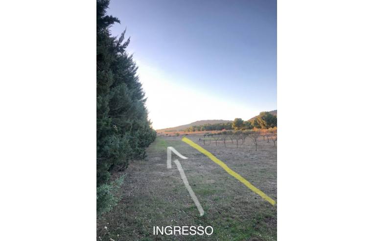 immagine annuncio 3 di 4