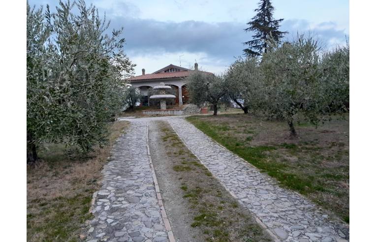 immagine annuncio 2 di 6