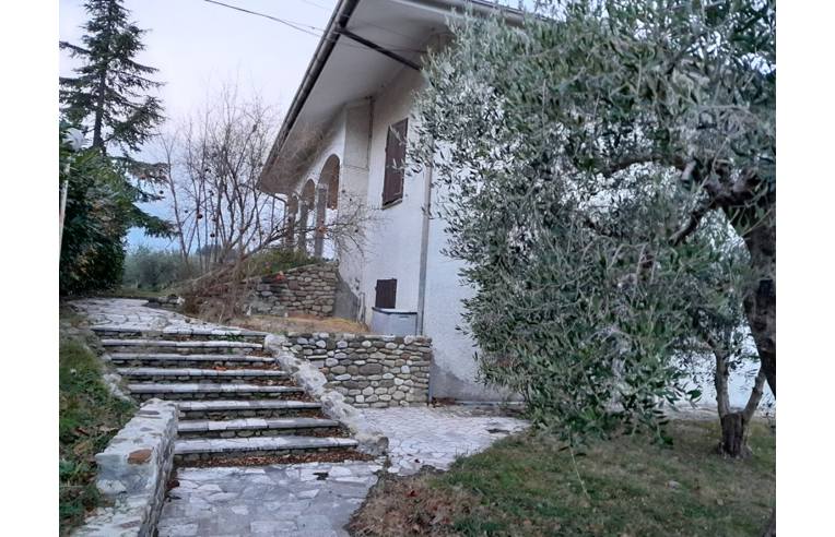 immagine annuncio 3 di 6