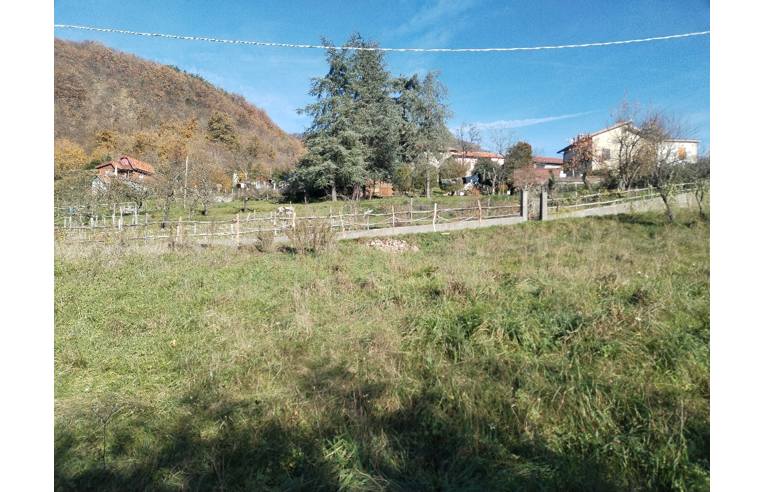 immagine annuncio 3 di 6
