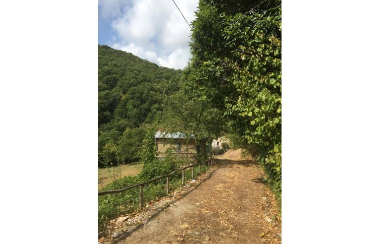 immagine annuncio 1 di 7