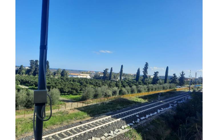 immagine annuncio 6 di 7