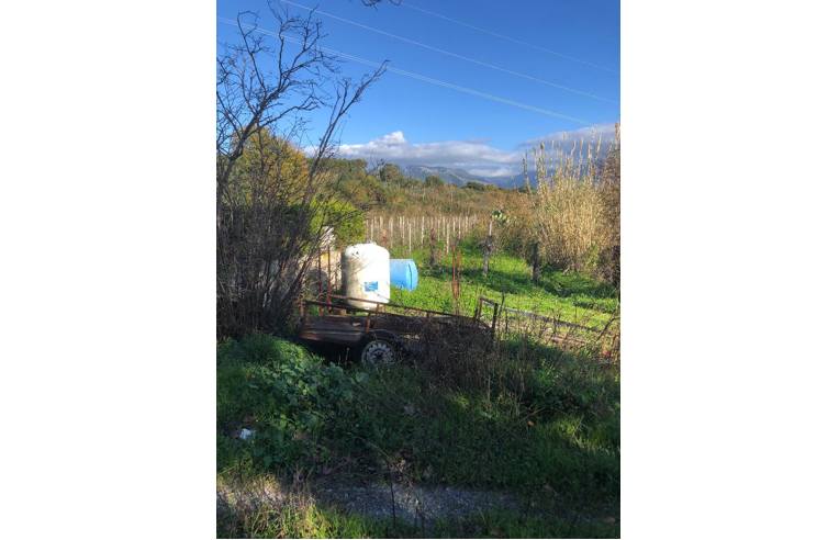 immagine annuncio 5 di 7