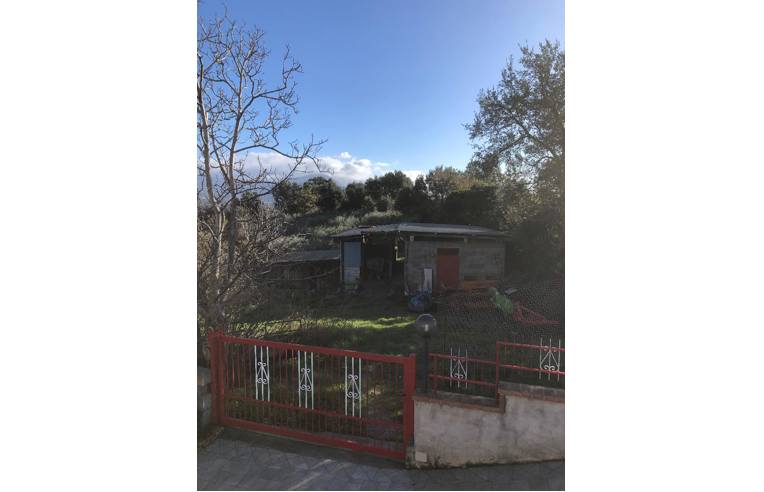 immagine annuncio 3 di 7