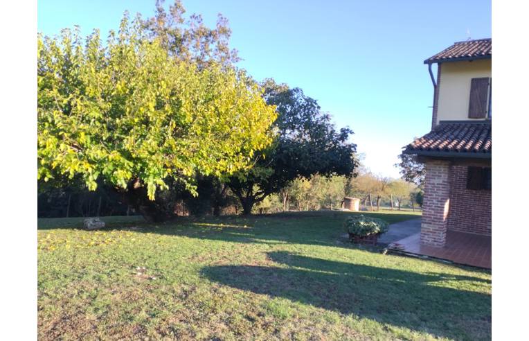 immagine annuncio 4 di 7