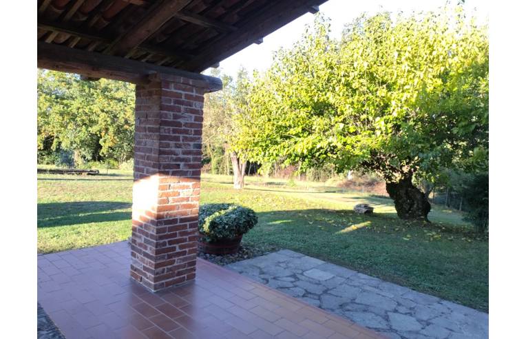 immagine annuncio 5 di 7
