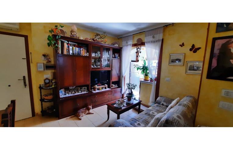 immagine annuncio 2 di 7