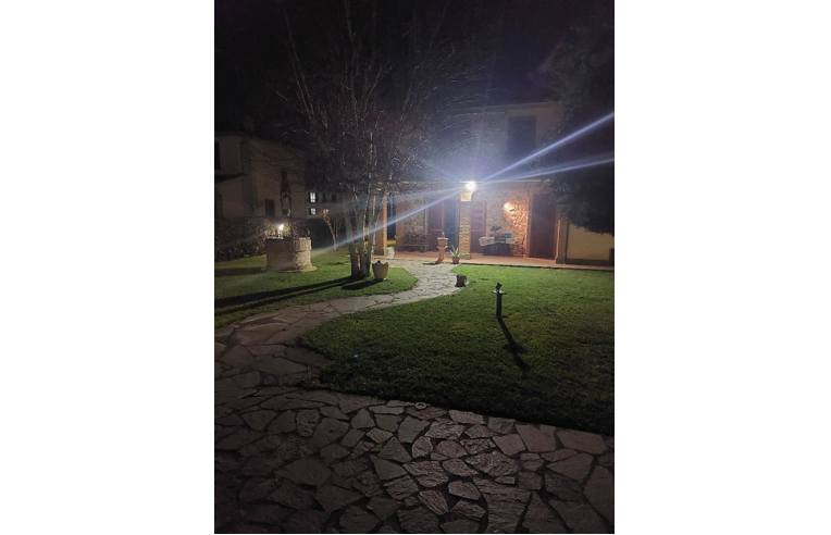 immagine annuncio 5 di 7