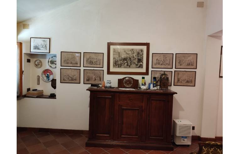 immagine annuncio 4 di 7