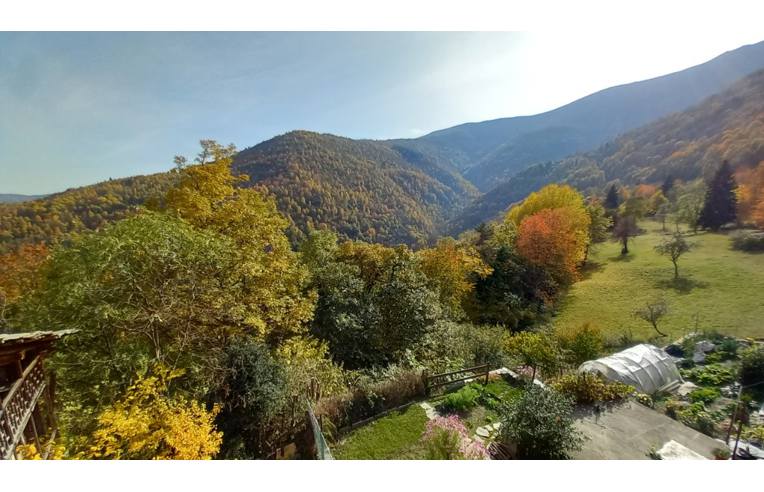 immagine annuncio 5 di 6
