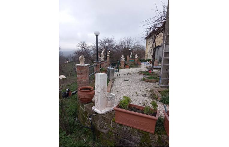 immagine annuncio 4 di 7