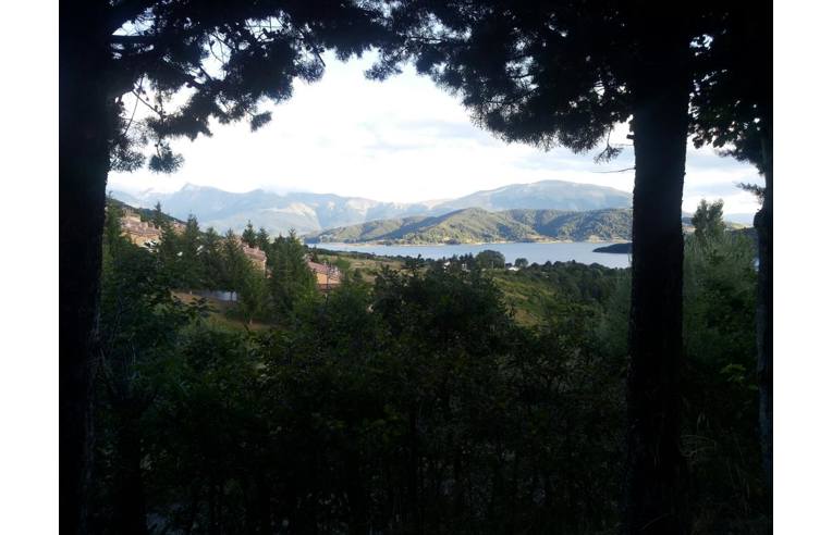 immagine annuncio 4 di 7