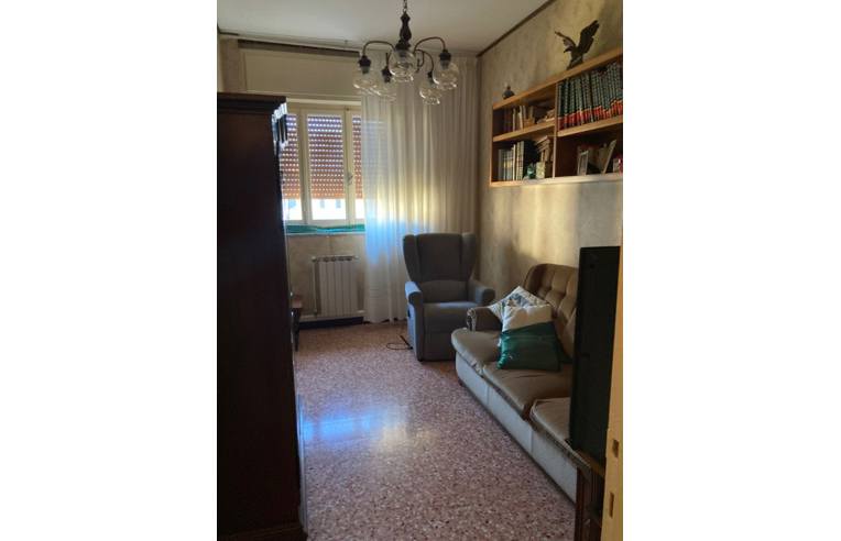 immagine annuncio 3 di 7