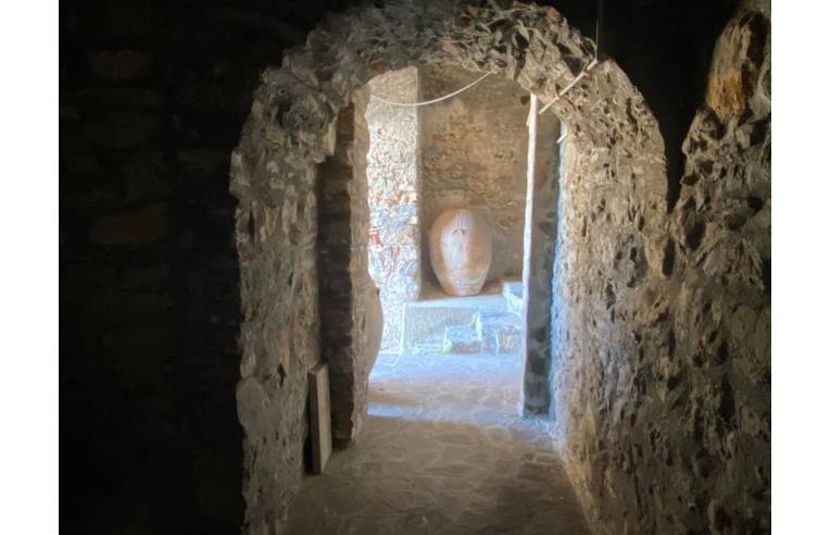 immagine annuncio 4 di 7